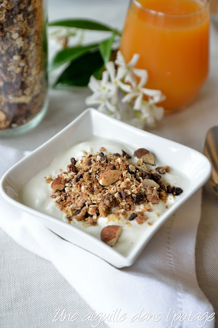 Granola à la noix de coco et éclats de cacao 