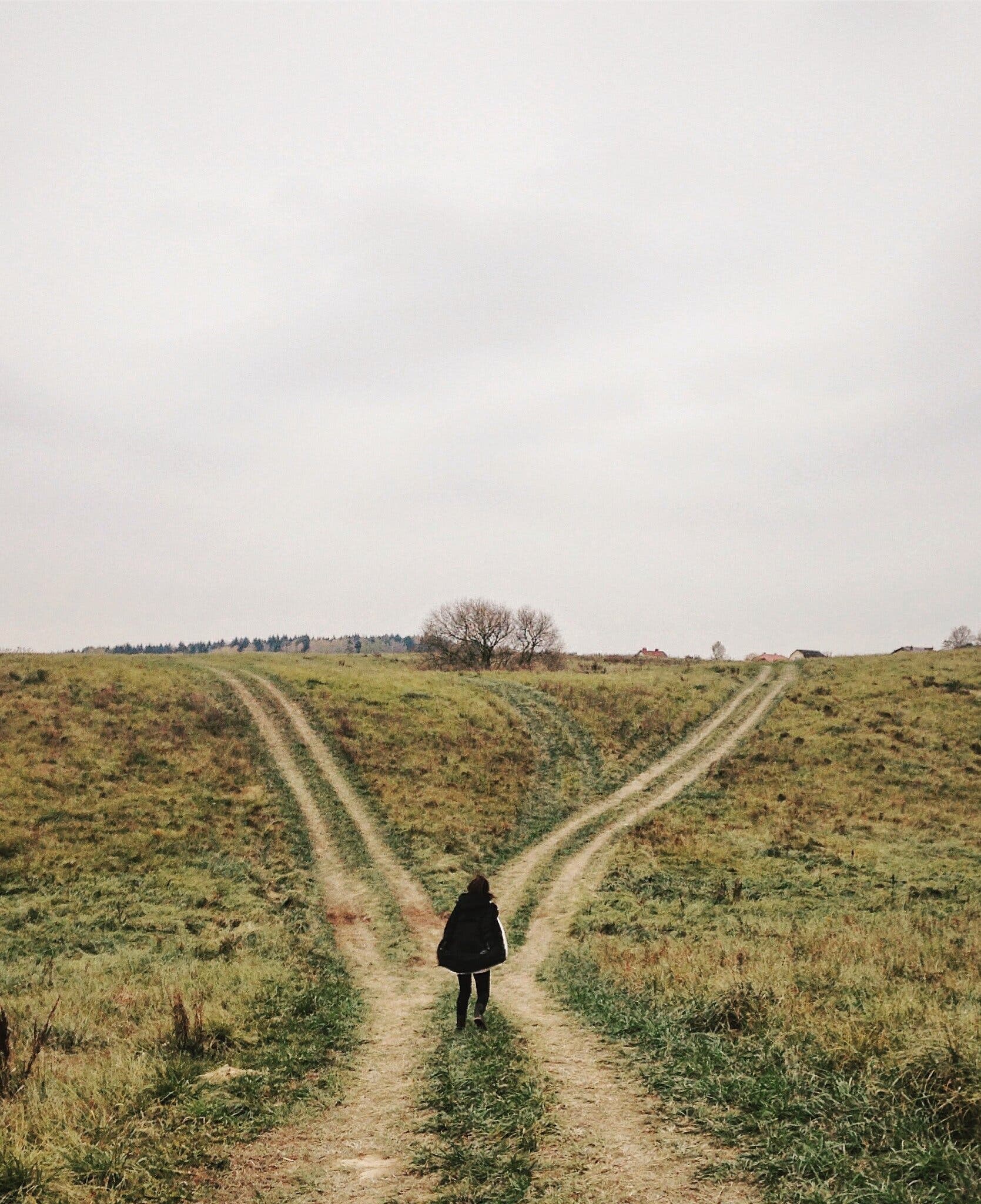 человек между двумя путями. путь к цели. перекресток двух дорог. выбор между двумя дорогами. разные дороги.