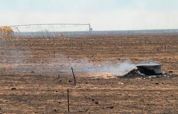 Incêndio devasta plantação no oeste da Bahia (Foto: Ivan Rodrigo/Blog do Braga)
