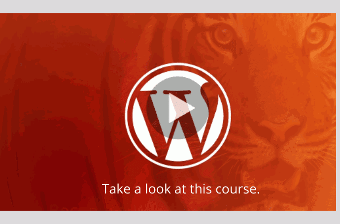 Become a WordPress Developer: Unlocking Power With Code - wordpress course udemy