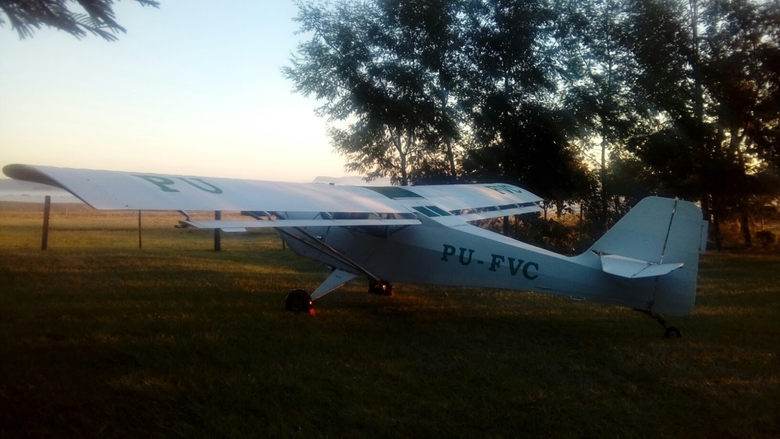 Blog do Barbosa "LambeLambe" KITFOX AMERICANO À VENDA