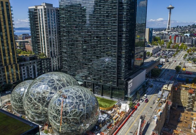 Amazon reports their highest net sales in 2020 