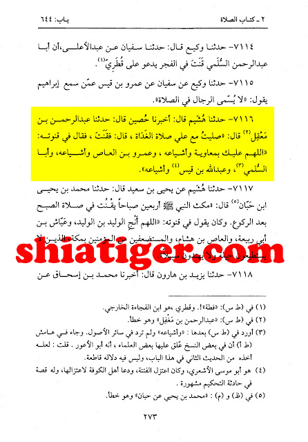 حضرت علی علیہ السلام کا معاویہ اور اس کے گروہ کے لئے قنوت میں بدعا کرنا 