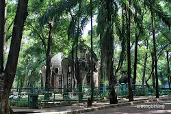 jerapah kebun binatang ragunan jakarta