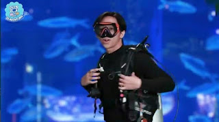 Jakarta Aquarium Paddle Pop Seaventure