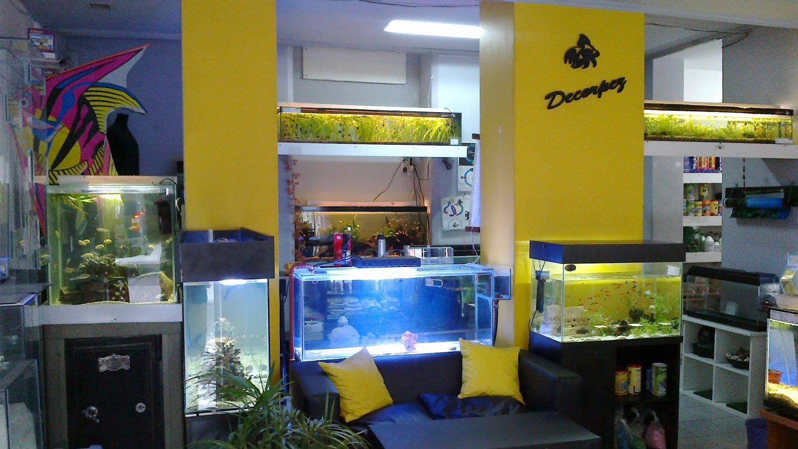 Acuarios Decorpez: octubre 2012