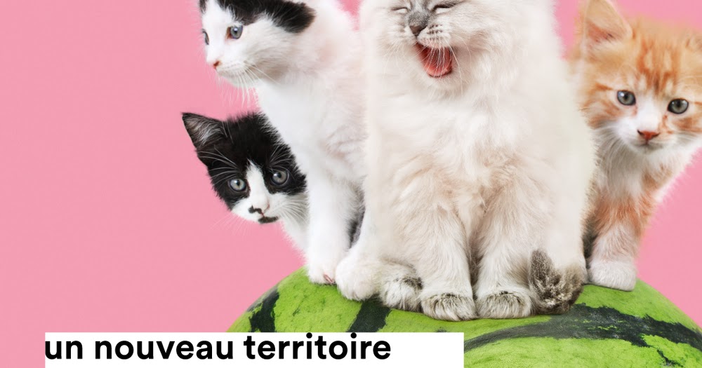 Le Lab De La Cité Des Bébés mes 3 loulous: Le Lab de la Cité des bébés