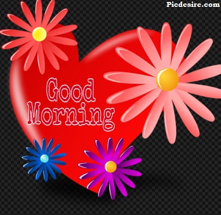 Heart Good Morning Heart Good Morning