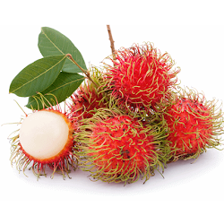 Kunci/Chord/Kord Gitar Erek Erek Buah Rambutan 2D 3D 4D Berdasarkan Buku  Mimpi - Chord Malay