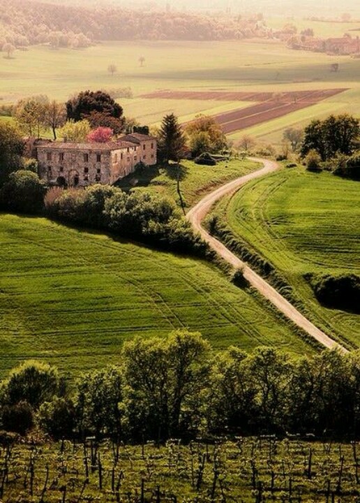 Villa in Tuscany, Italy photo