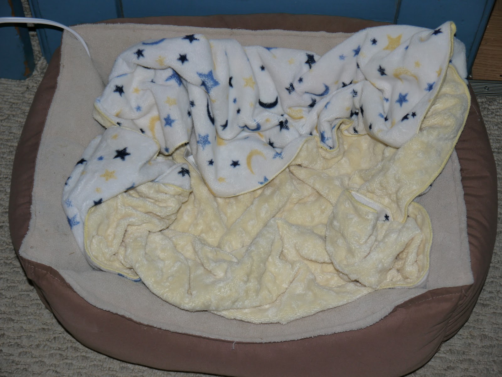 Sunbeam Heated Pet Bed Insert