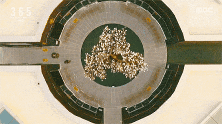WellwornAngelicGalago-size_restricted.gif