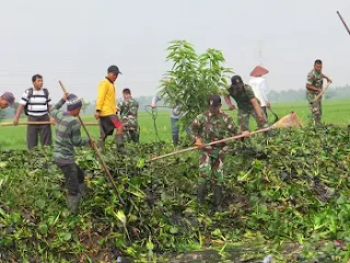 Pasca Banjir, TNI Dan Masyarakat Bebaskan Sungai Bumirejo Dari Sampah Dan Enceng Gondok