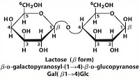 Lactose