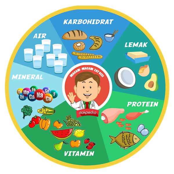 Ilmu Gizi Ternyata Penting Dimiliki Oleh Semua Orang - Informasi