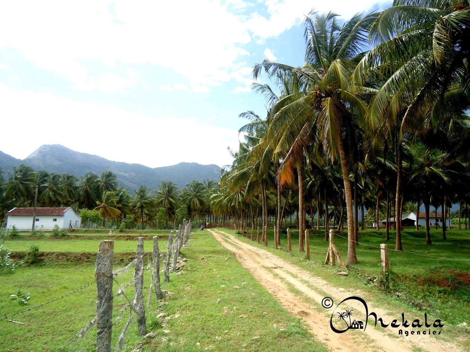 3 Acres Agriculture farm land for sale at Navakkarai near NH544