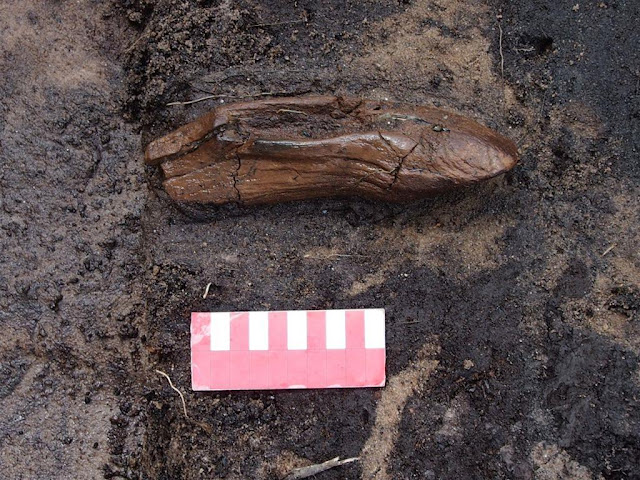 9,000-year-old 'sanctuary' unearthed in Pomerania