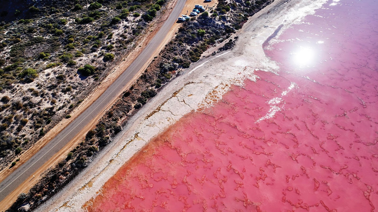 Miss Happyfeet Western Australia Visiting The Pink Lake From Perth