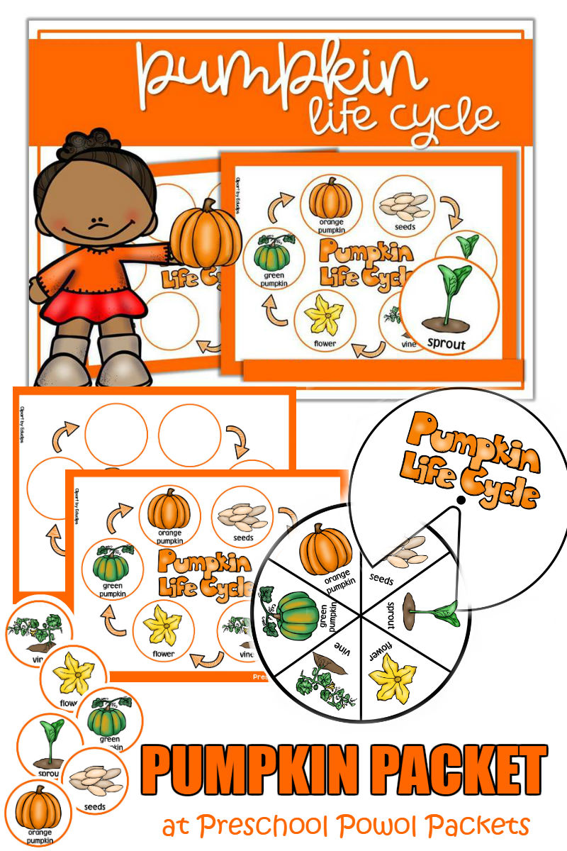 Pumpkin Life Cycle Packet Preschool Powol Packets pumpkin-life-cycle-packet-preschool-powol-packets