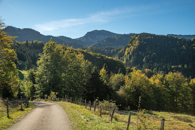 Rundweg Ohlstadt - Kreut-Alm  Freilichtmuseum Glentleiten Schwaiganger  Wandern im Blauen Land 05