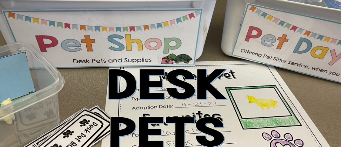 Encourage good classroom behaviors with the Nasco Desk Pet Kit
