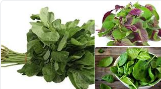 Soal Assesment Kompetensi Minimum Soal Ujian Sekolah Prakarya Smp