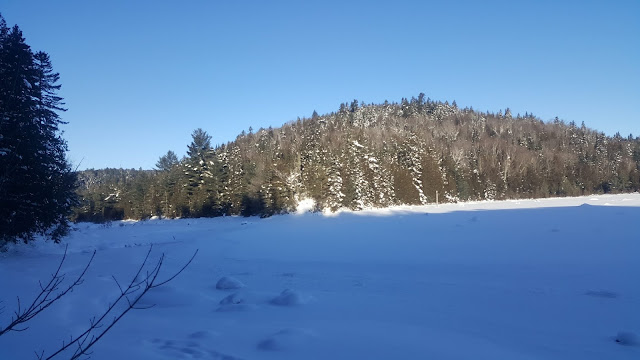 Vue sur la rivière Swaggin