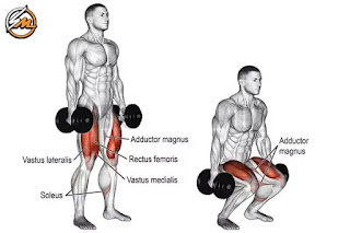14 Best Dumbbell Exercises for Building Muscle