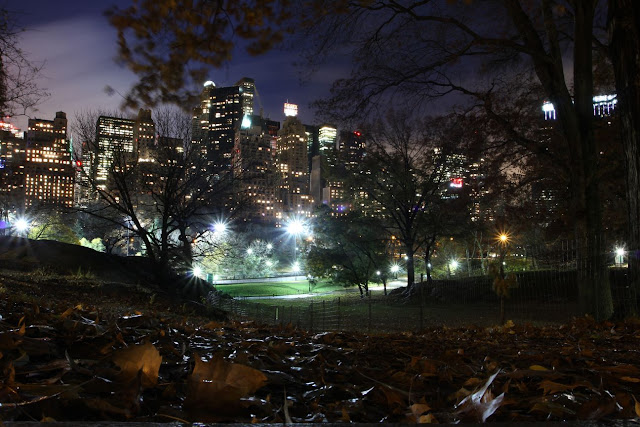 Central Park New York City 2011