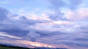 Aji Cicak Ijo Ilmu Untuk Pagar Badan Diri Sendiri dan Keluarga