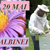 20 mai: Ziua internațională a albinei