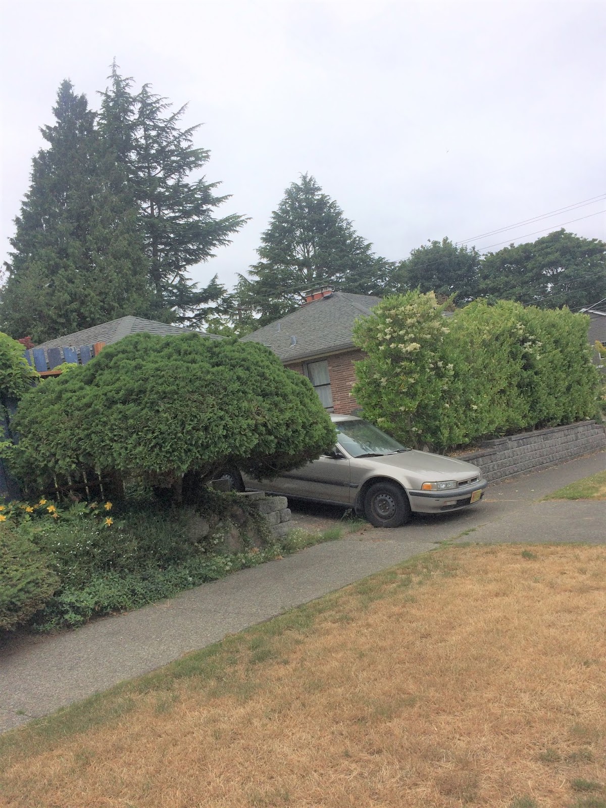 Laurelhurst Blog Blocking Sidewalk With A Car Is Illegal