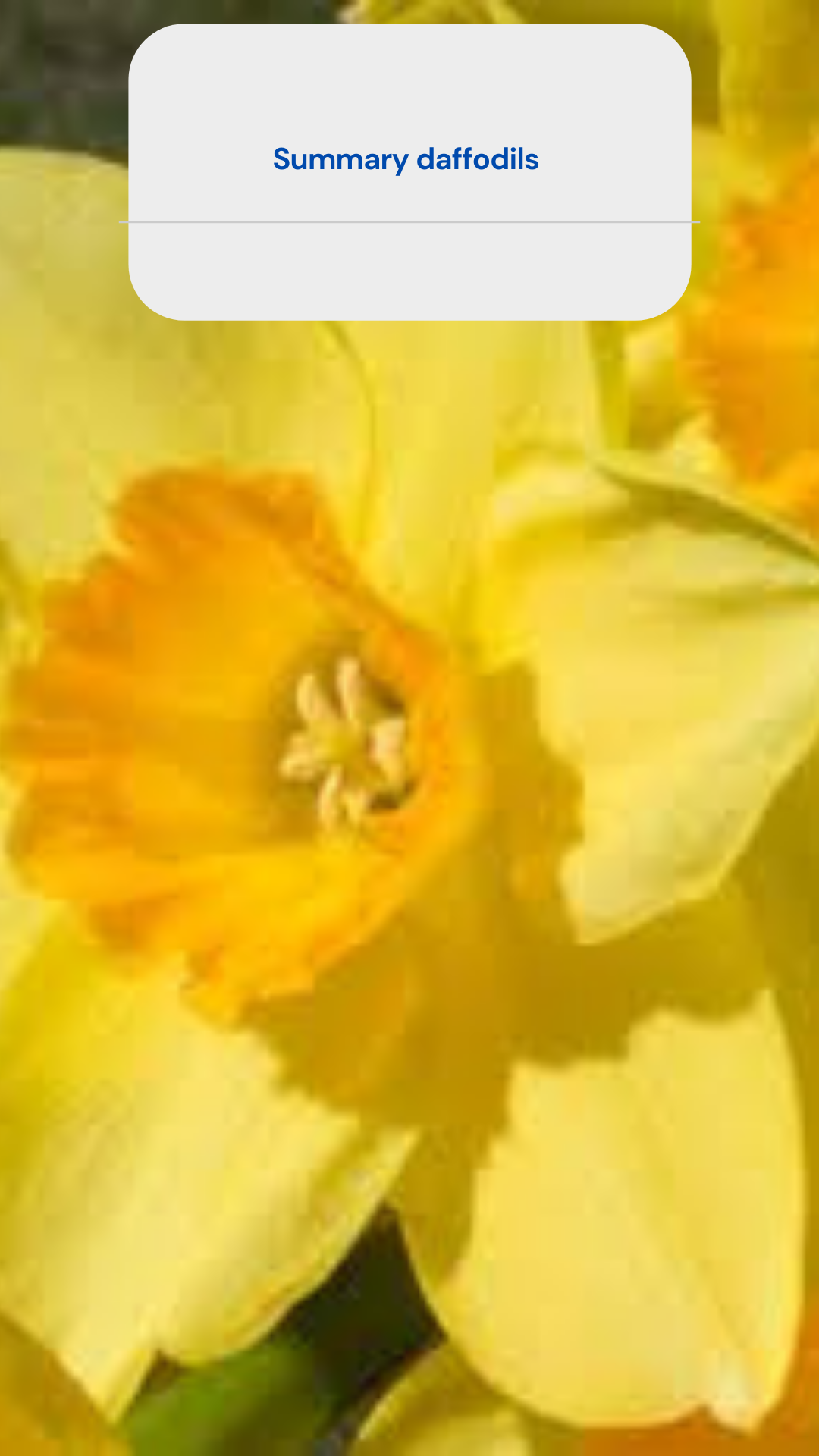 summary of the poem daffodils by wordsworth