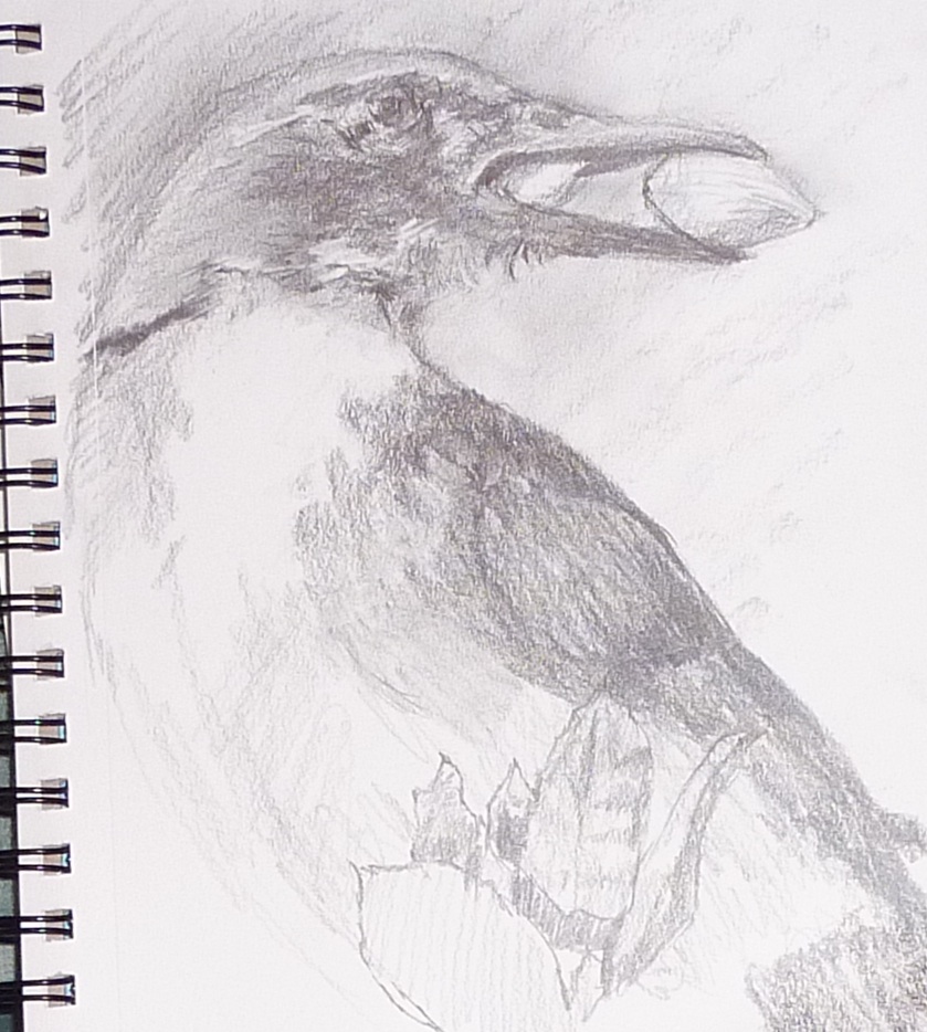 DSB SKETCHES Bird with Two Seeds