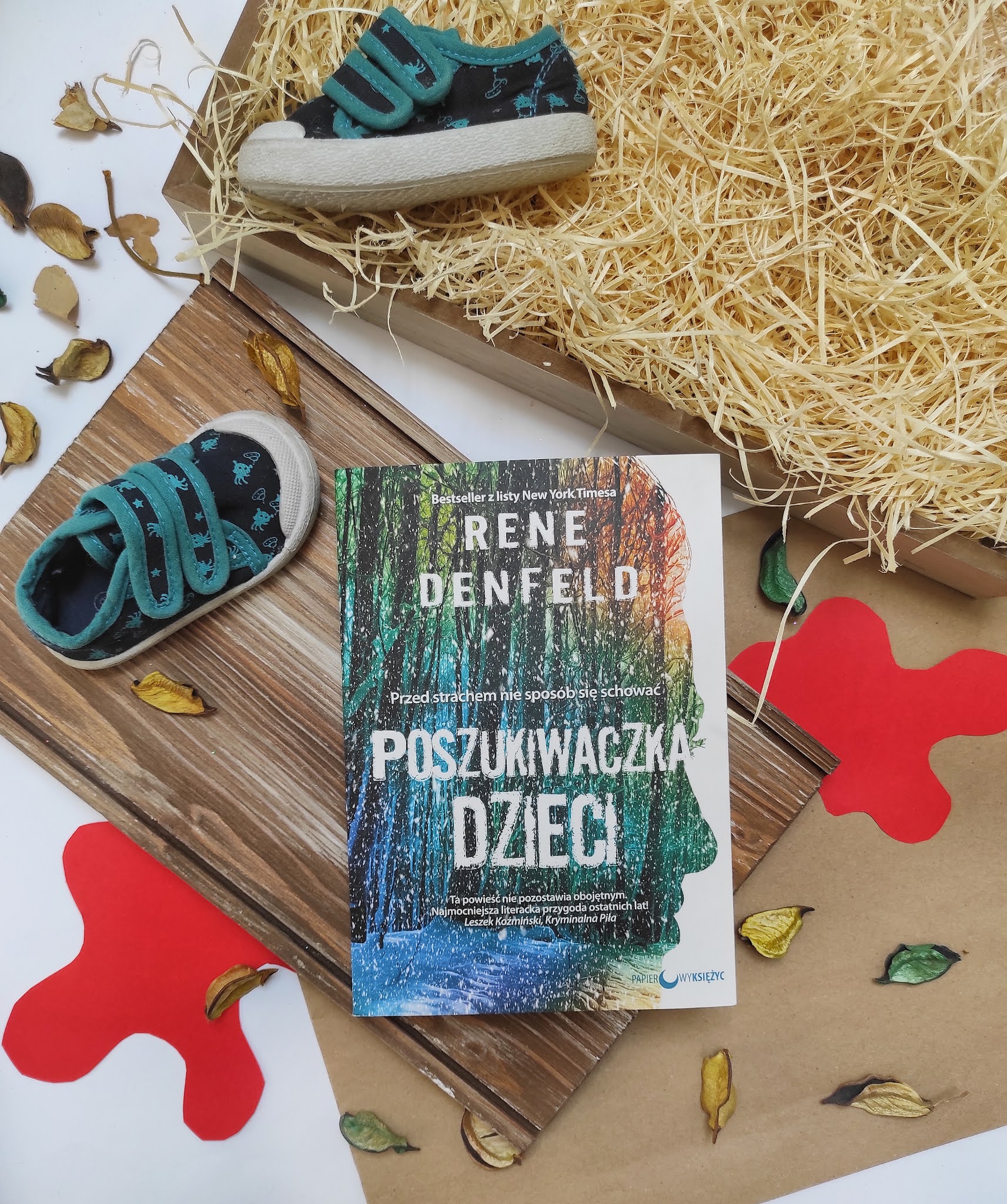 "Poszukiwaczka dzieci" Rene Denfeld - recenzja