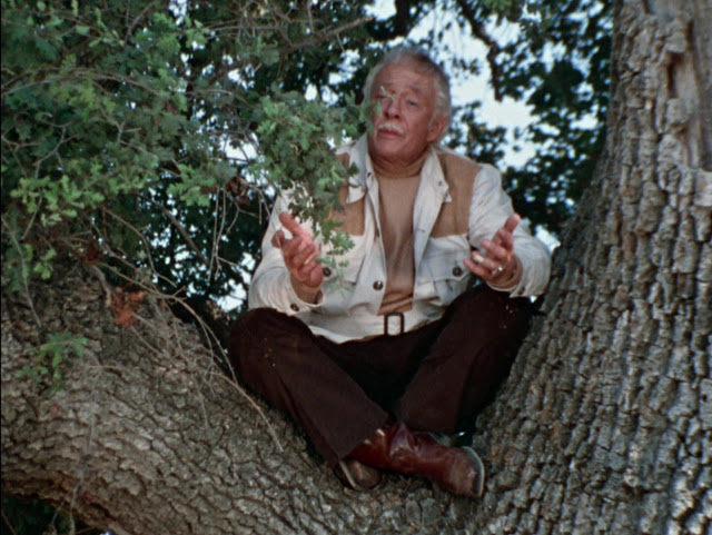 Mentor in a tree from Episode 104 - The Lure of the Lost