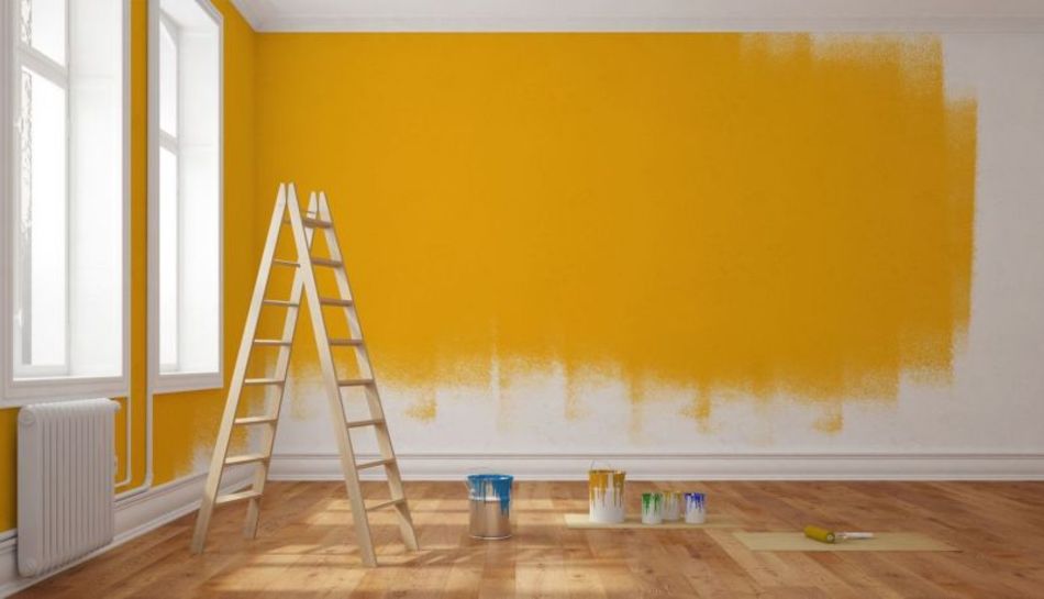 How often should you paint the interior walls of the house?