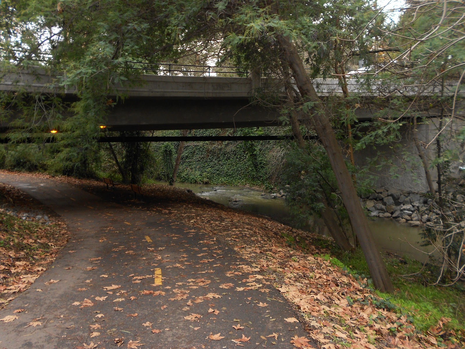 They Call Me Aventurera Los Gatos Creek Trail/ Vasona Park