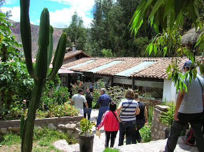 Vegetación Valle Sagrado de los Incas,  Perú, La vuelta al mundo de Asun y Ricardo, round the world, mundoporlibre.com