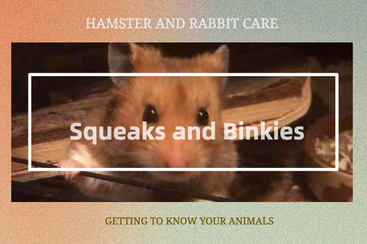 Squeaks and Binkies