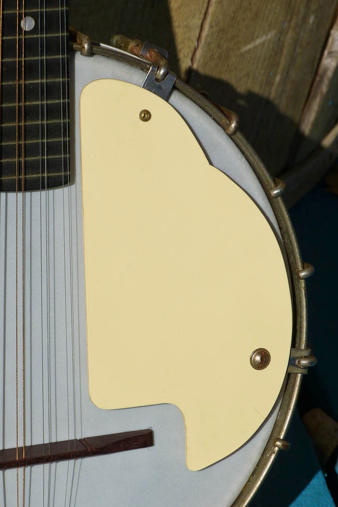Banjo Mandolin Pickguard
