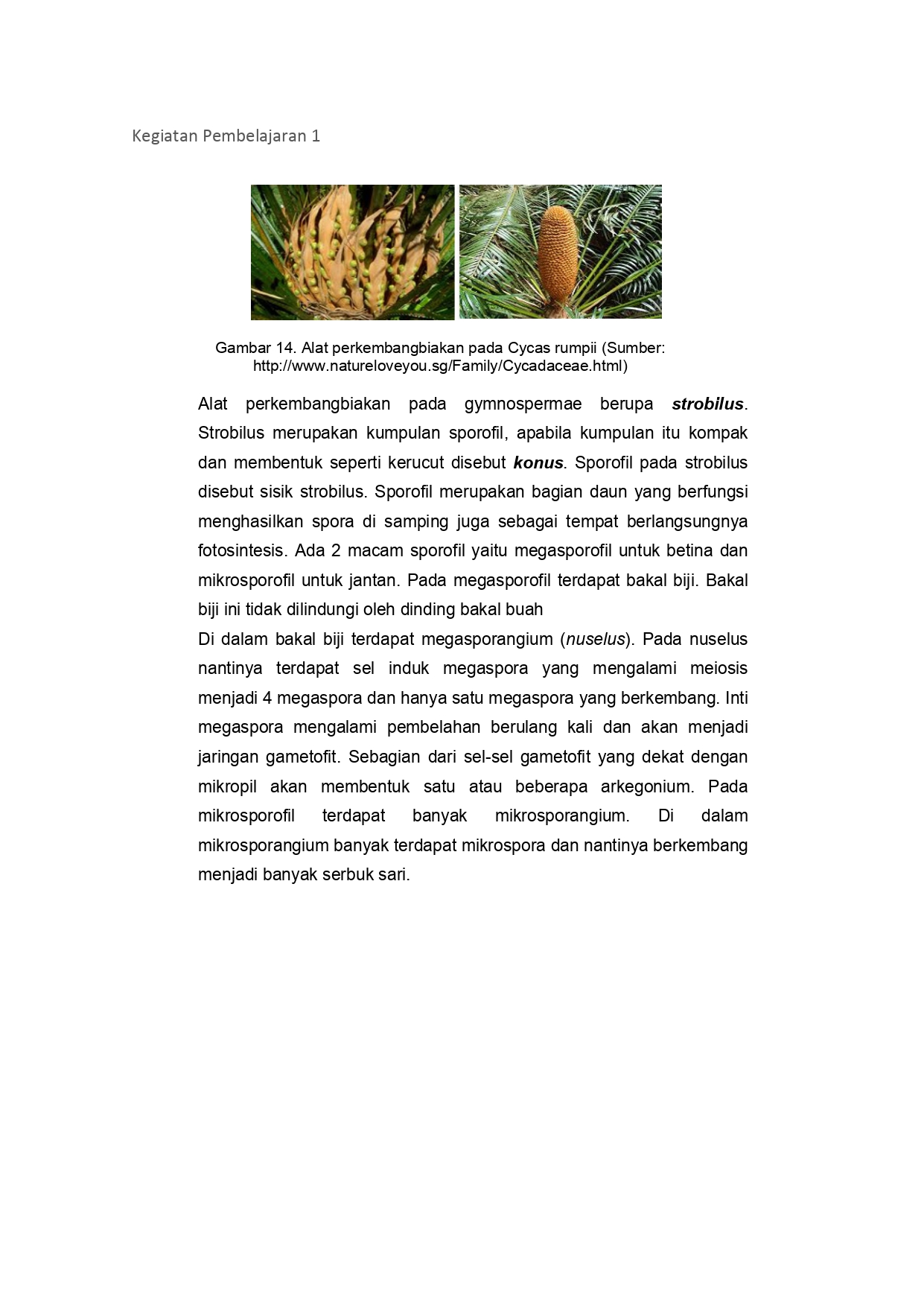 Sistem Perkembangbiakan Tumbuhan dan Hewan SMP/MTS kelas 9