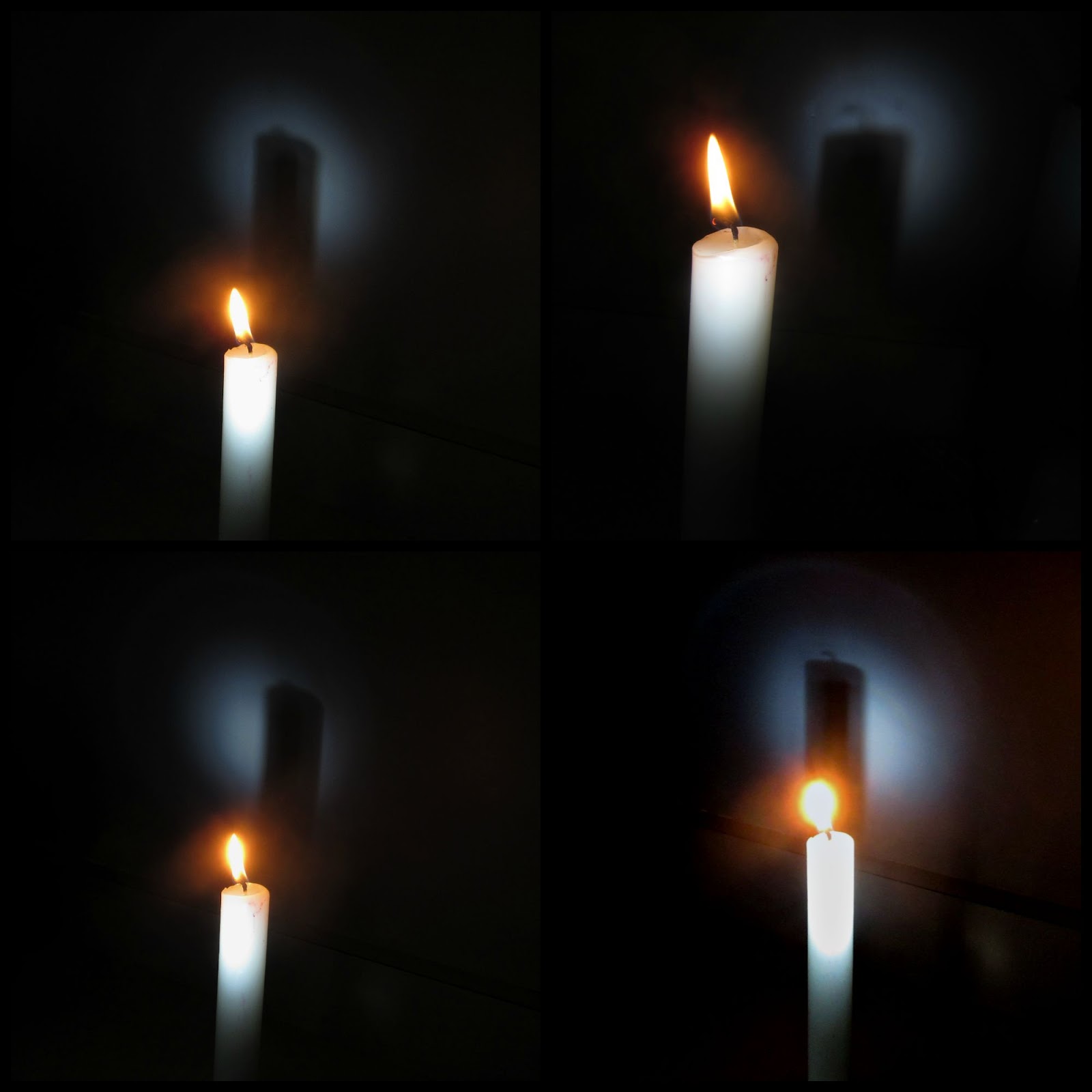 MadSnapper Light Has No Shadow