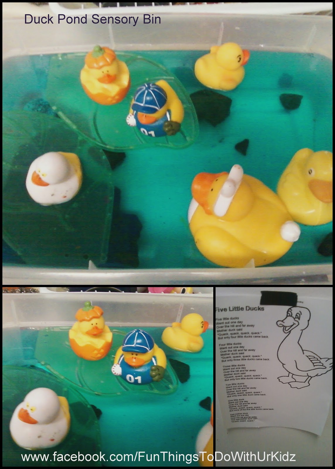 Duck pond sensory bin-
