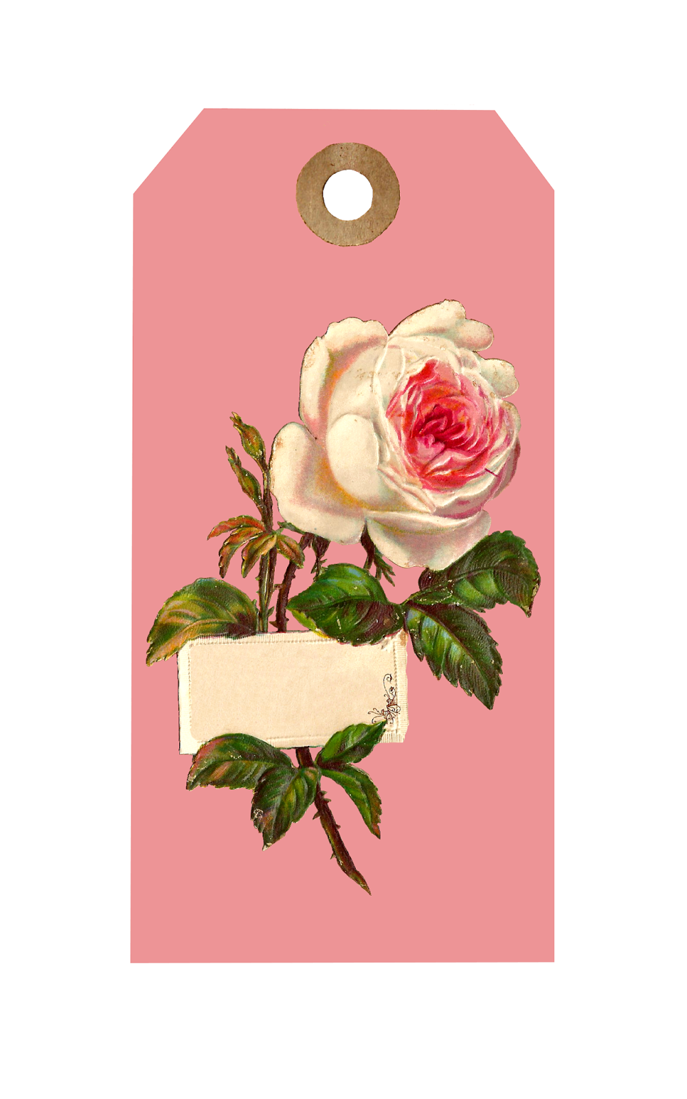 antique-images-printable-flower-collage-sheet-gift-tags-white-rose-image