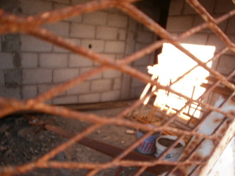 Los Sitios de Nadie: La obra de los gatos