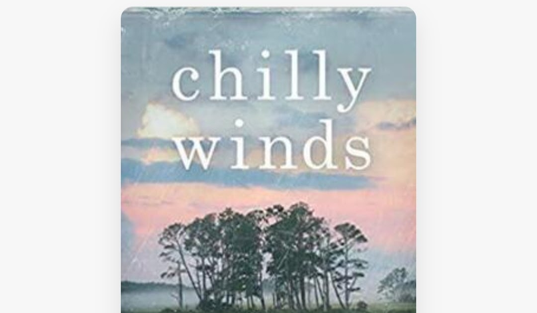 Review Novel Chilly Winds, A Chincoteague Intrigue oleh Brooks Yeager