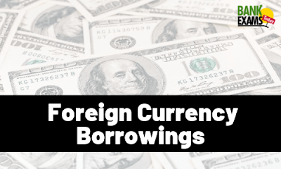  Foreign Currency Borrowings