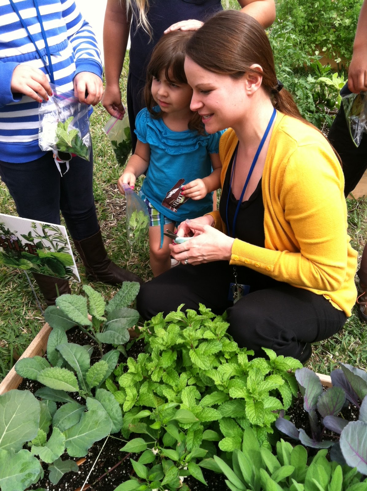 The DiTore Family: Country Isles Elementary