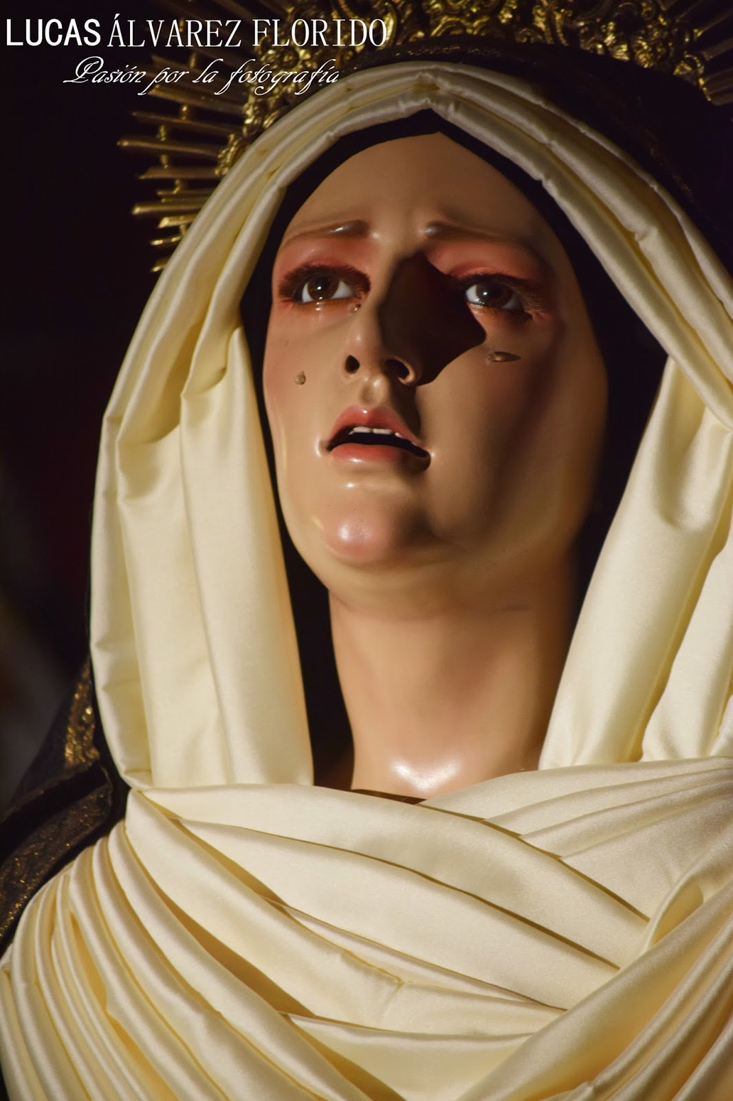 La Pasión Digital Hermandad de la Sagrada Mortaja para los Fieles